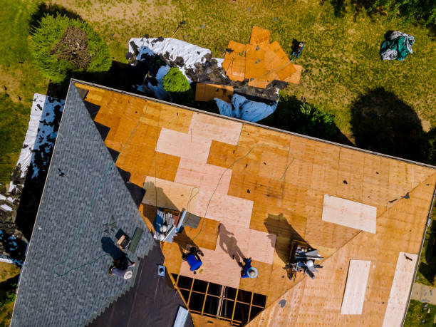 Best Roof Gutter Cleaning  in Cumberland Hill, RI